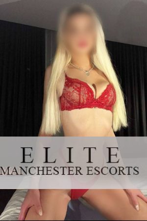 Tyler Bernadotte escorts